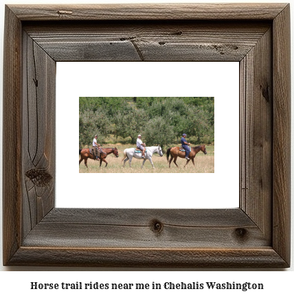 horse trail rides near me in Chehalis, Washington